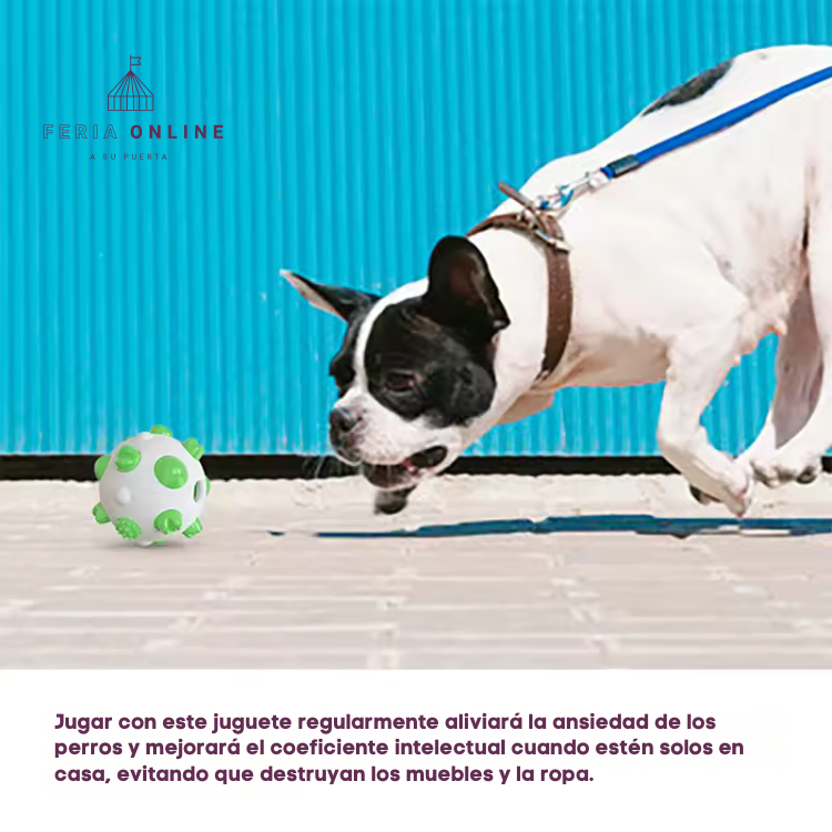 Pelota TPR Para Mascotas Resistente