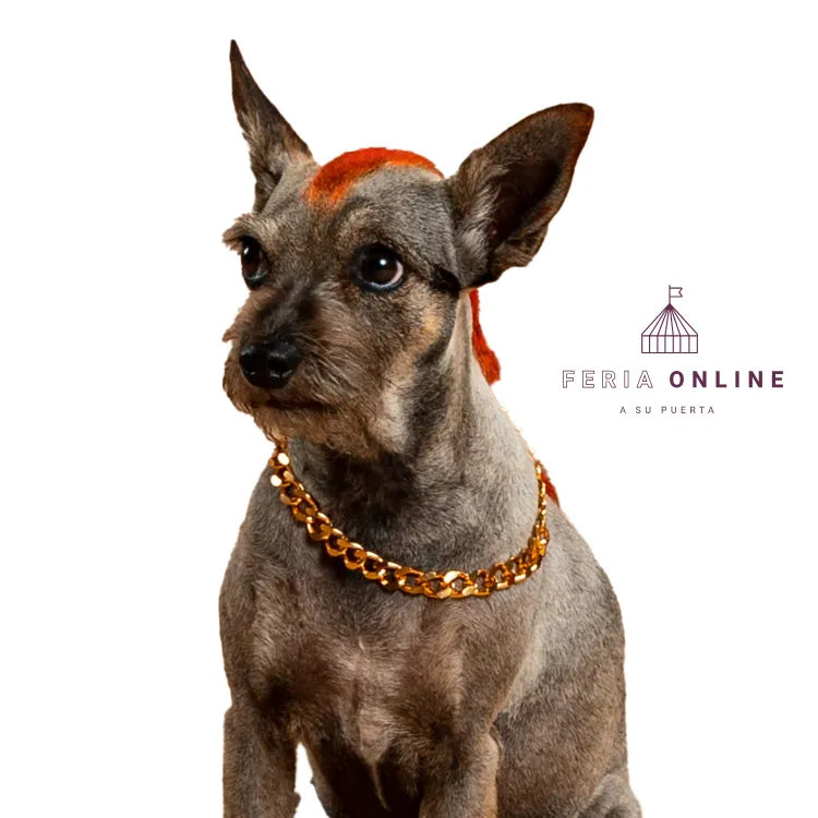 Cubana para Mascotas Puppy Pets