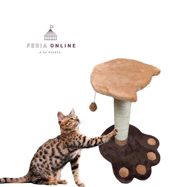 Gimnasio Con Rascador Huella para Gatos