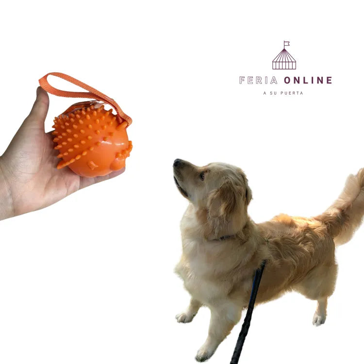 Juguete Multiusos Con Cepillo Dental Para Mascotas