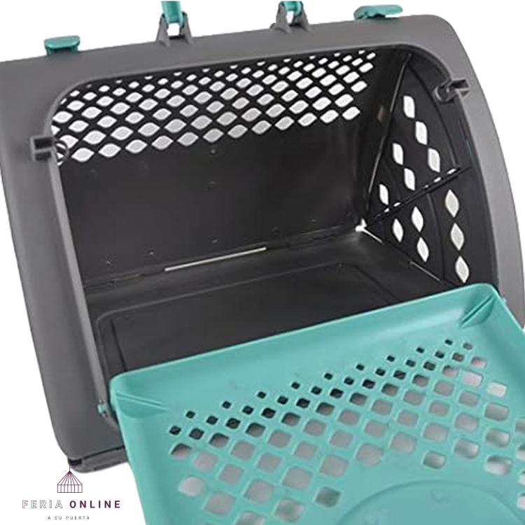 Caja Transportadora de Pasta