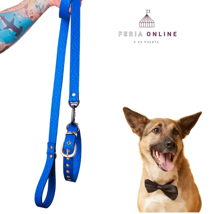 Collar + Correa Premium Puppy Pets