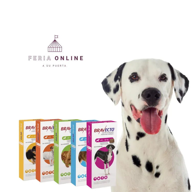 Bravecto Tableta Masticable - Antipulgas y Antigarrapatas