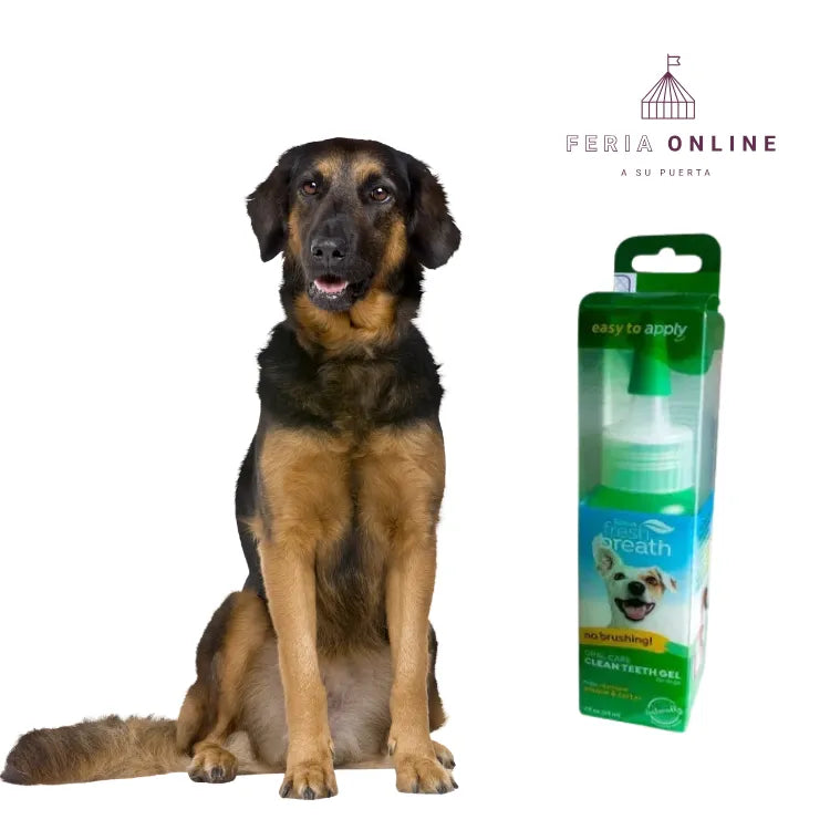 Gel Removedor De Sarro, Cálculo, Placa Sin Cepillado Para Perros y gatos