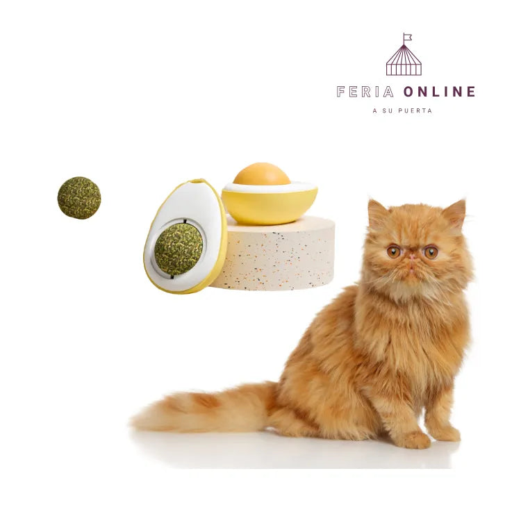 Bolita De Catnip Giratoria Forma de Huevo