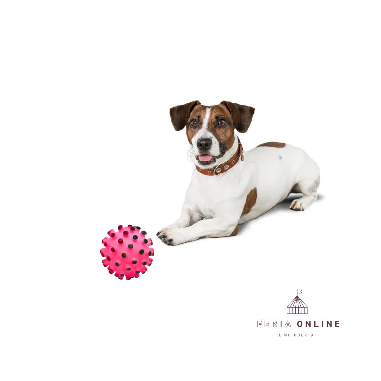 Juguete Pelota Chillona Puntos Mascota