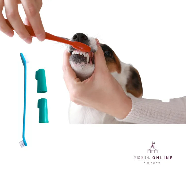 Kit Dental Para Mascotas