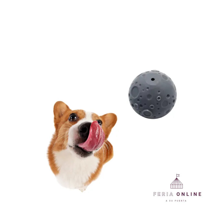 Pelota Luna TPR Premio