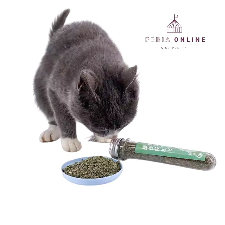 Tubo De Catnip