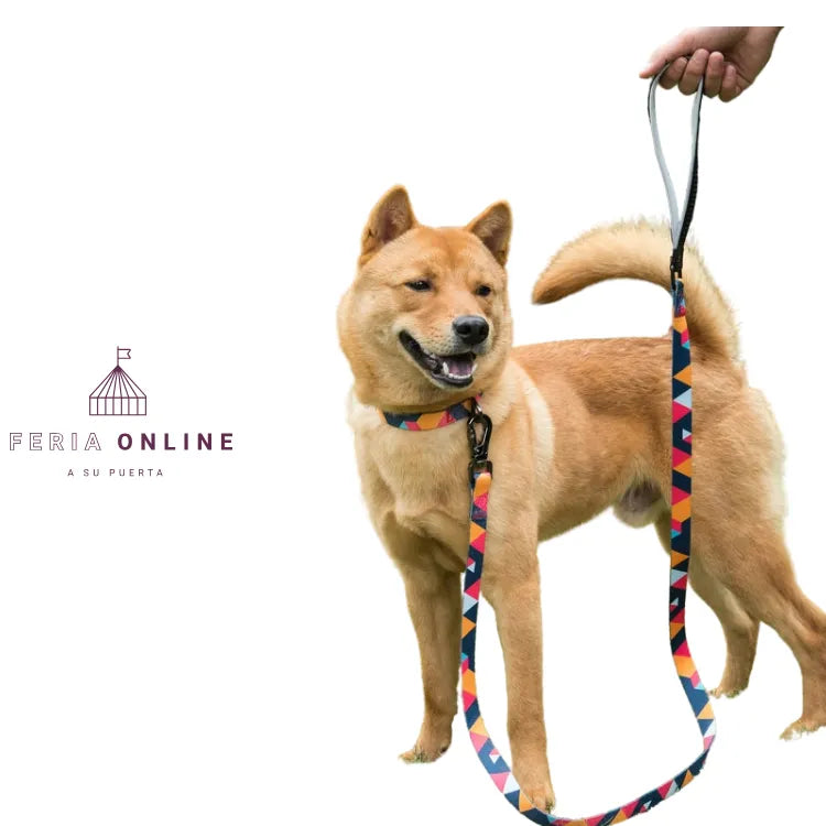 Arnés Estampado Multicolor Perro