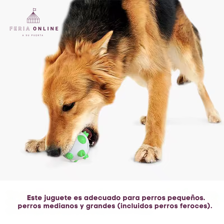 Pelota TPR Para Mascotas Resistente