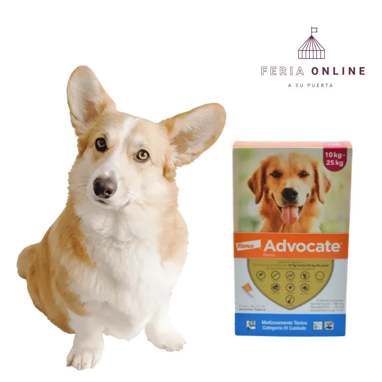 Antipulgas Advocate En Pipeta Para Perros 10-25 KG UND