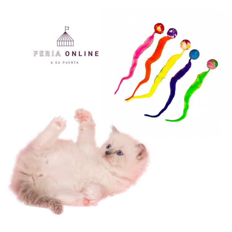 Bola con Gusanillo para Gatos