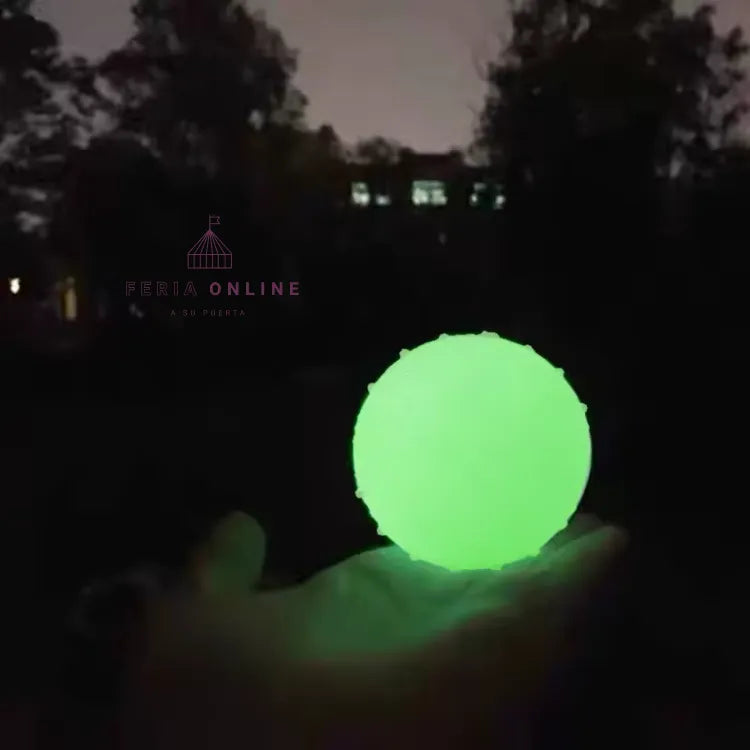 Pelota Neon Para Mascotas