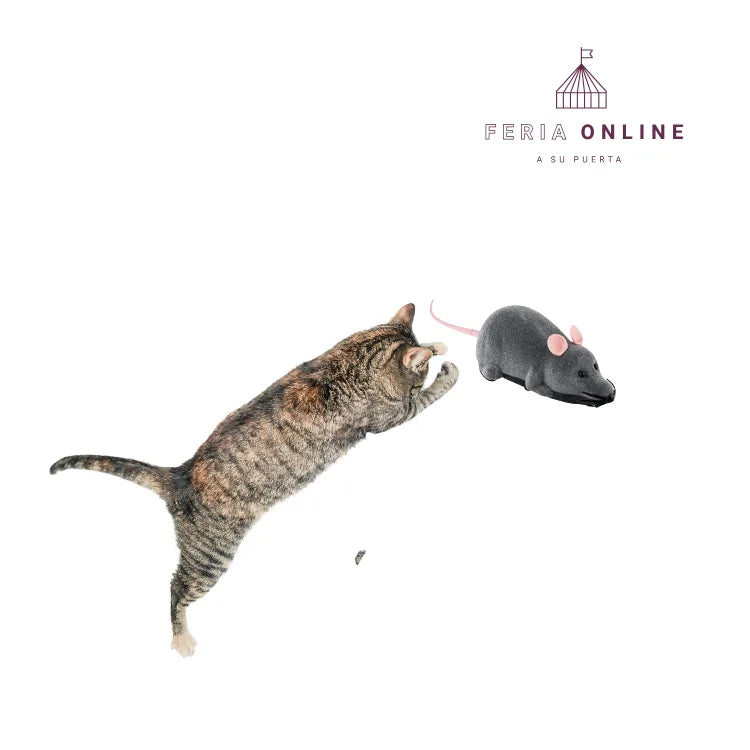 Ratón con Control Remoto