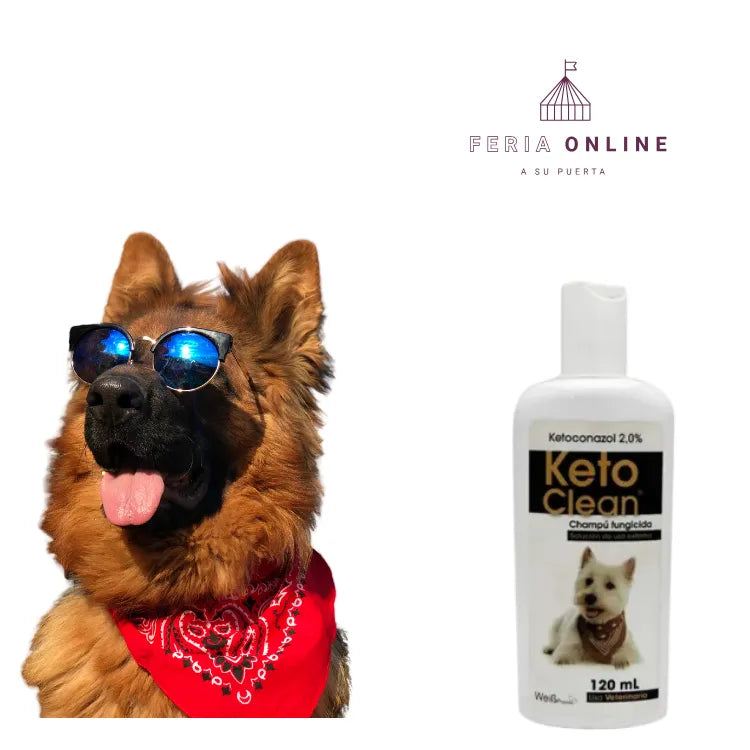 Shampoo Medicado Para Perros Keto Clean 120 ML