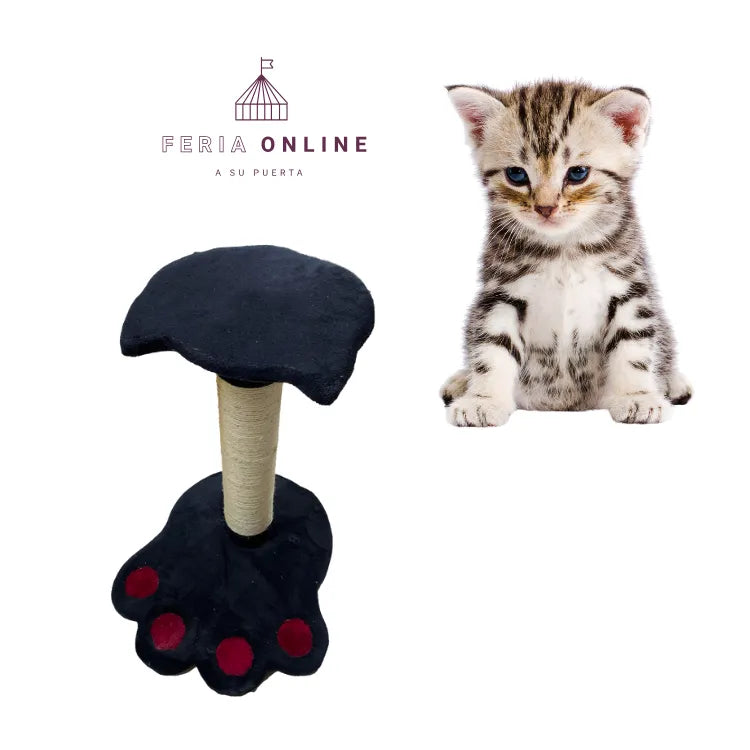 Gimnasio Con Rascador Huella para Gatos