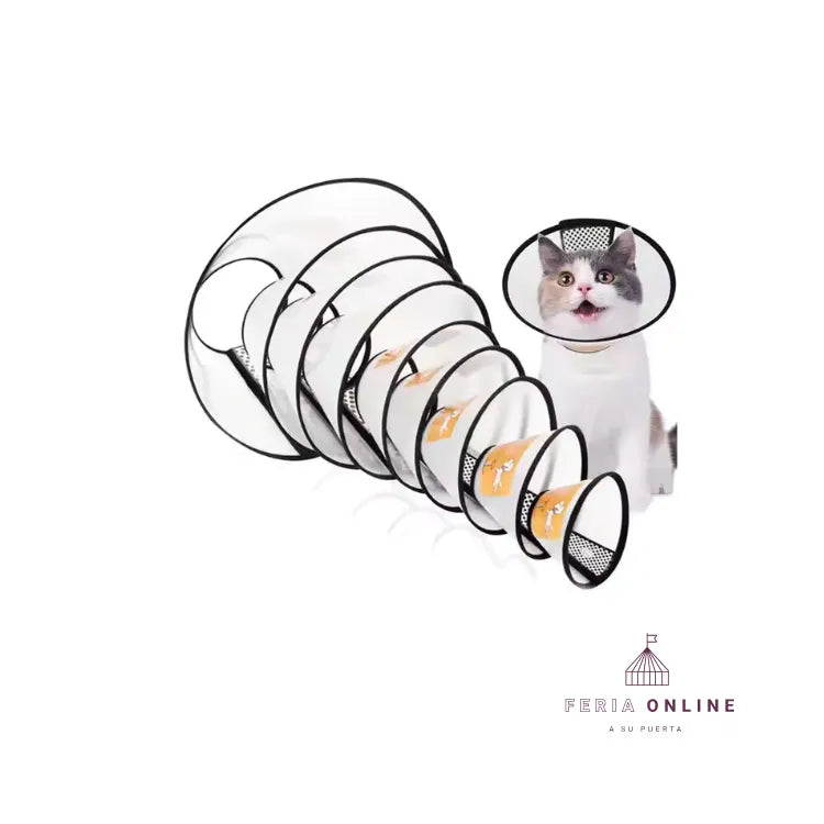 Collar Isabelino