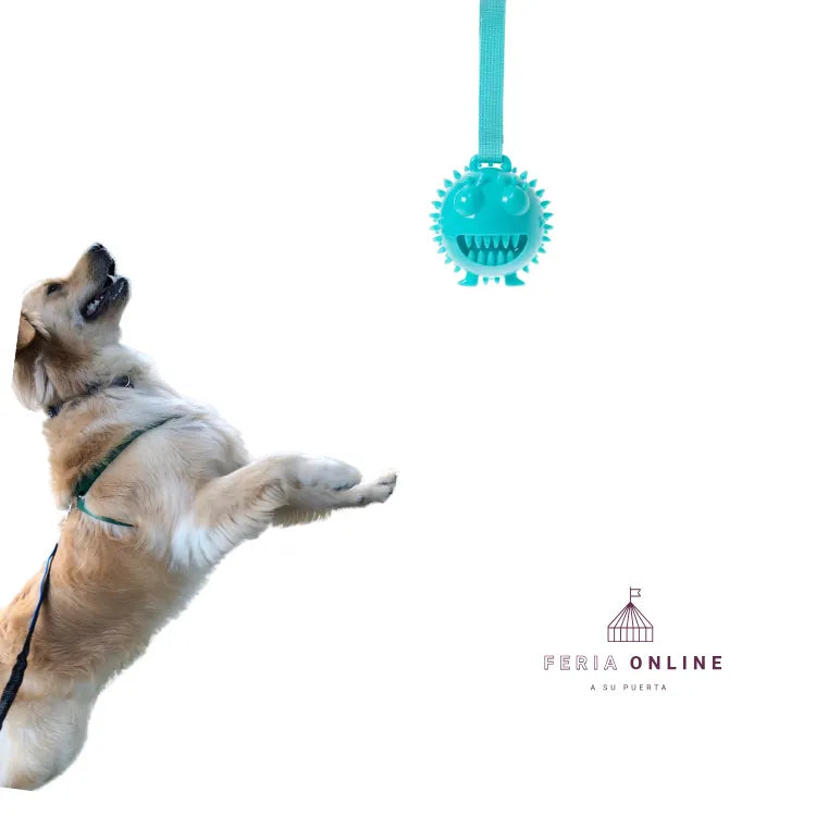 Juguete Multiusos Con Cepillo Dental Para Mascotas