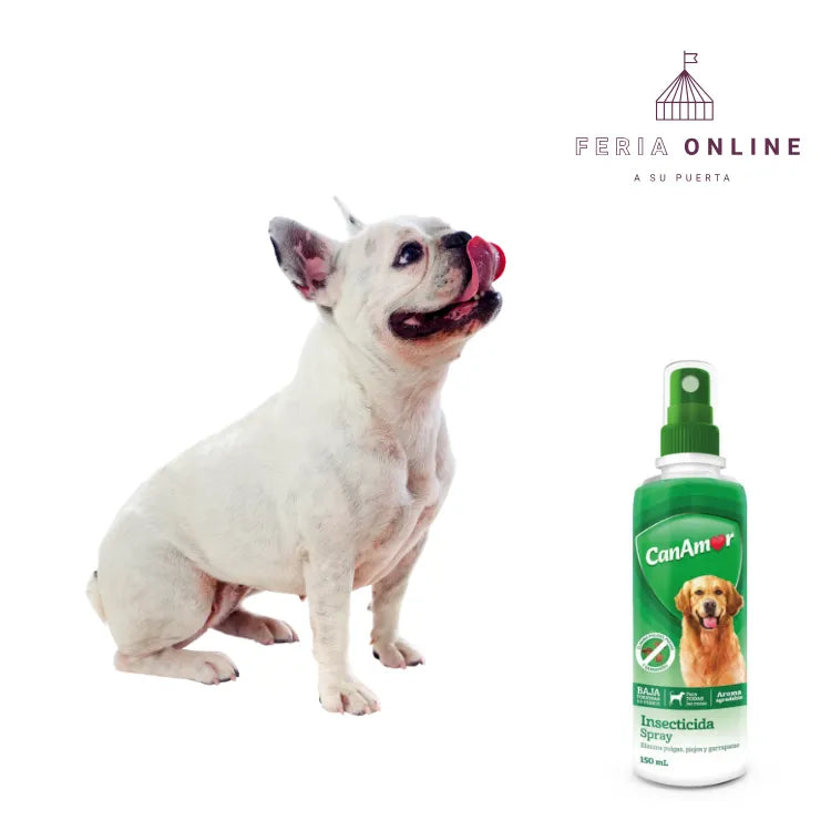 Spray Insecticida Canamor