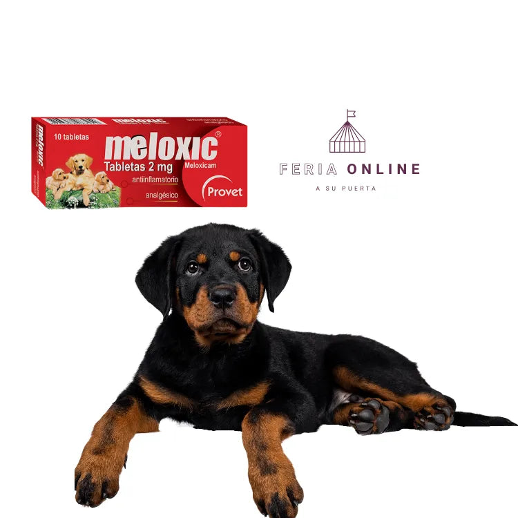 Meloxic Tabletas Perros - Antiinflamatorio y Analgésico