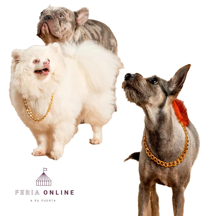 Cubana para Mascotas Puppy Pets