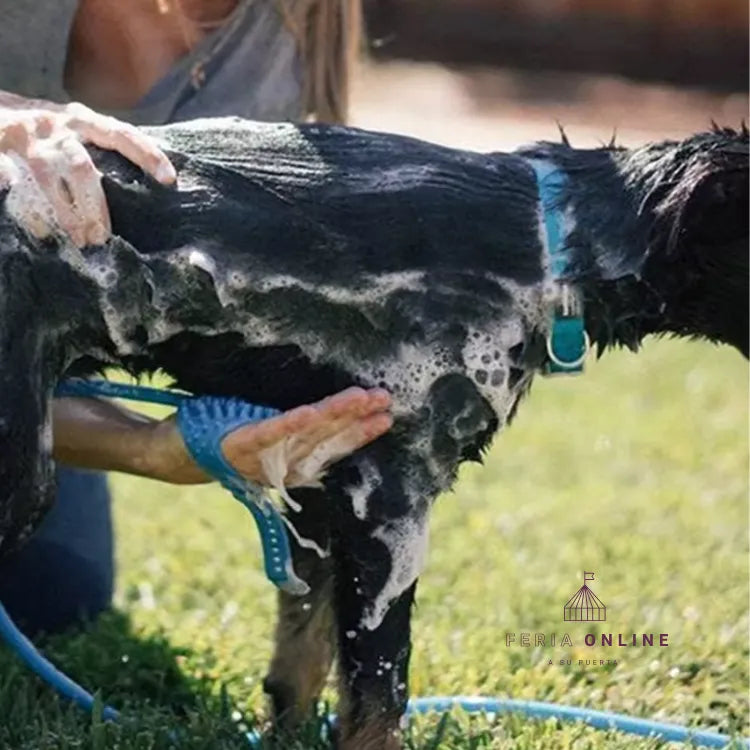 Manguera para Baño de Mascotas