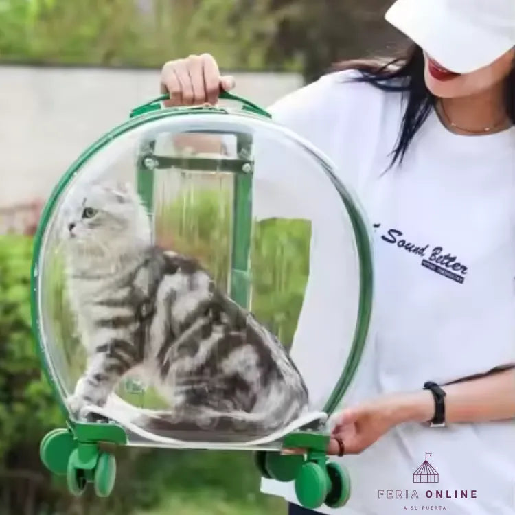 Maleta Transportadora para Mascotas