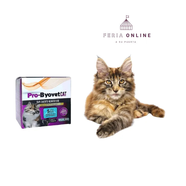 Pro- Byovet Cat