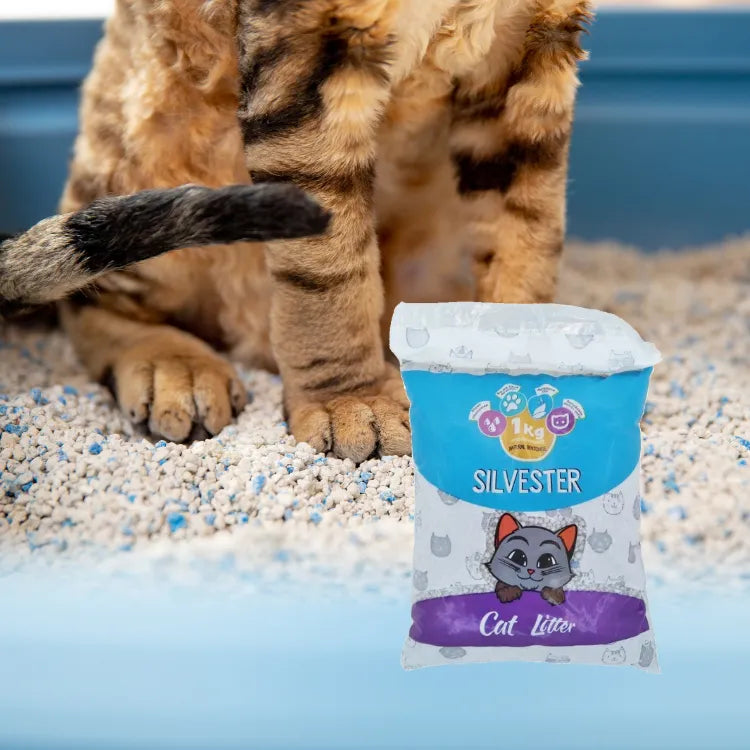 Arena para Gatos Silvester