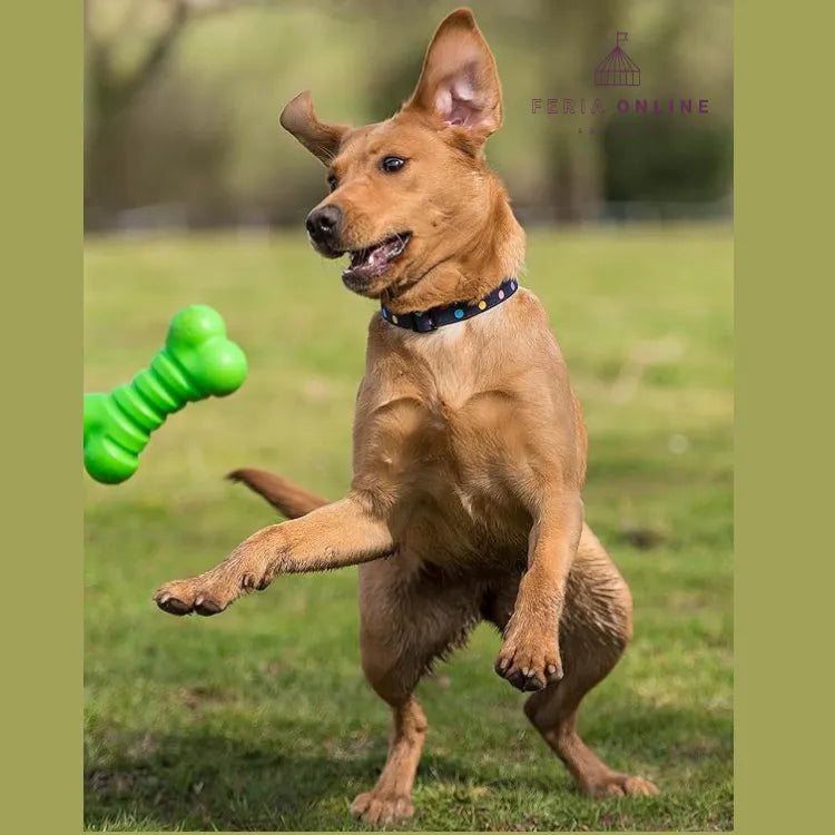Juguete Hueso Macizo Para Perro