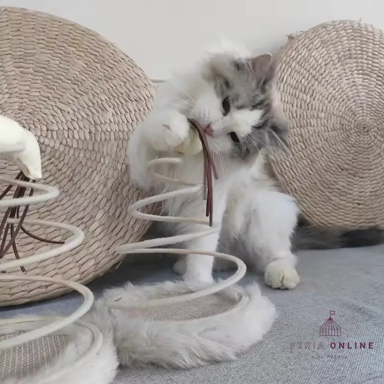Juguete Con Resorte Para Gatos