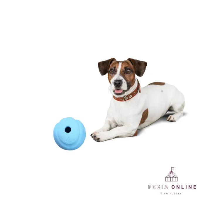 Pelota Premio TPR