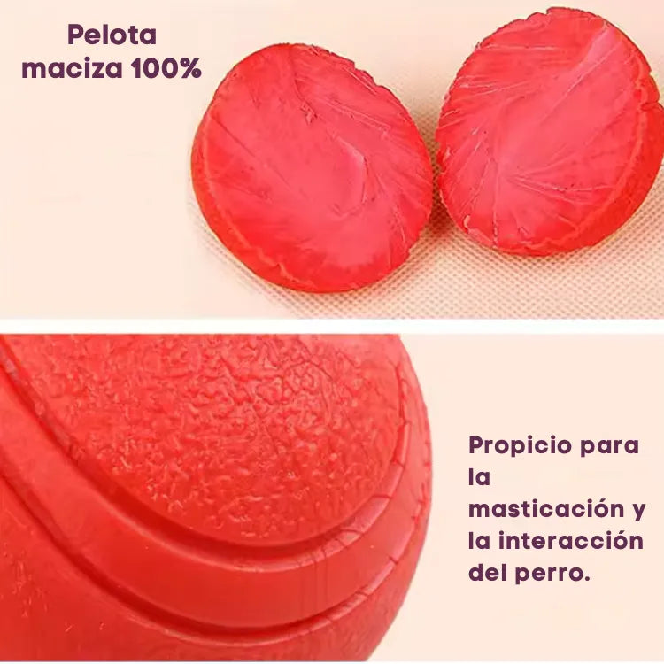 Pelota Grande TPR Para Mascotas