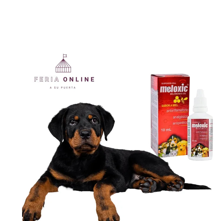 Meloxic Gotas 10ml. - Antiinflamatorio, Analgésico y Antipirético