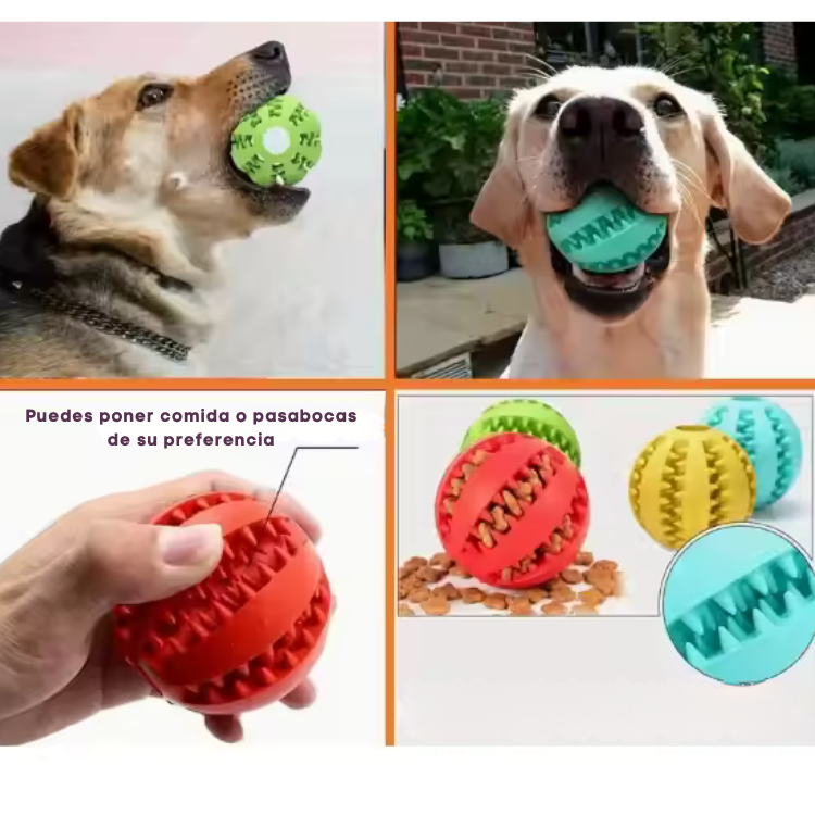 Pelota Maciza Premio Mediana