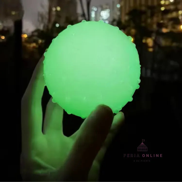 Pelota Neon Para Mascotas