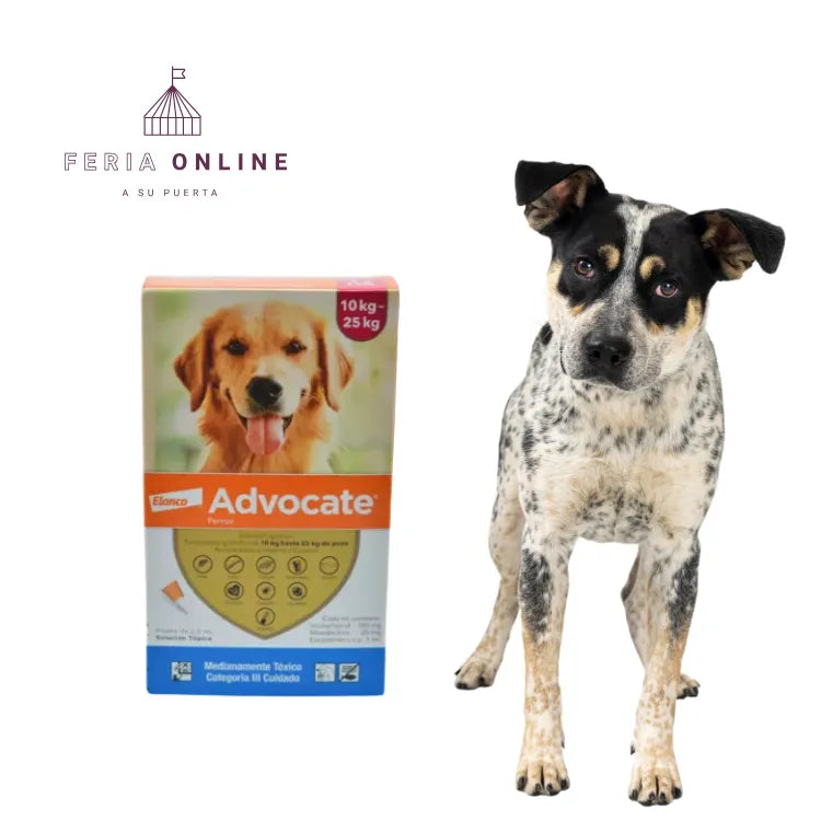 Antipulgas Advocate En Pipeta Para Perros 10-25 KG UND