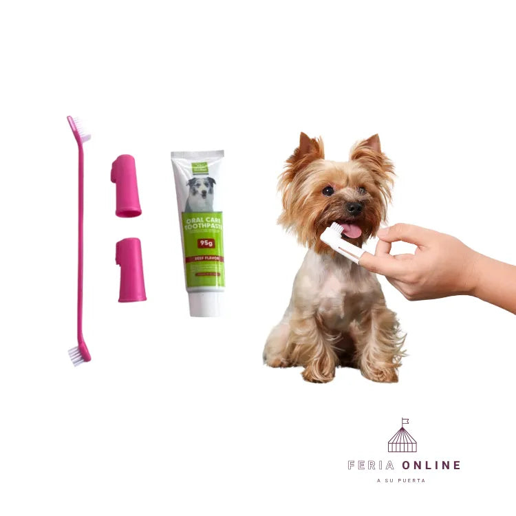 Kit Dental Para Mascotas
