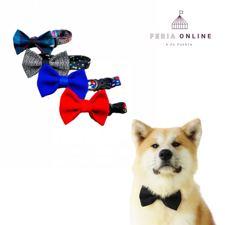 Collar Corbatín