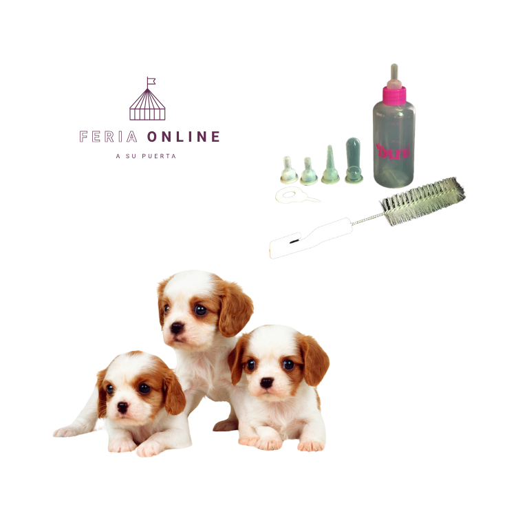 Set Biberón 60ml.