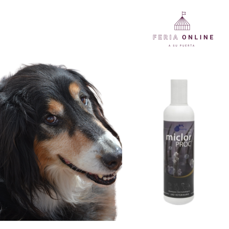 Shampoo Dermatológico Para Mascotas Micloproc - 125 Ml