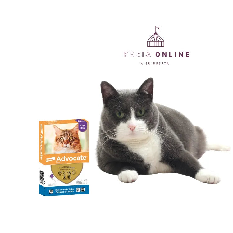 Advocate - Gatos Hasta 4 y 8kg.