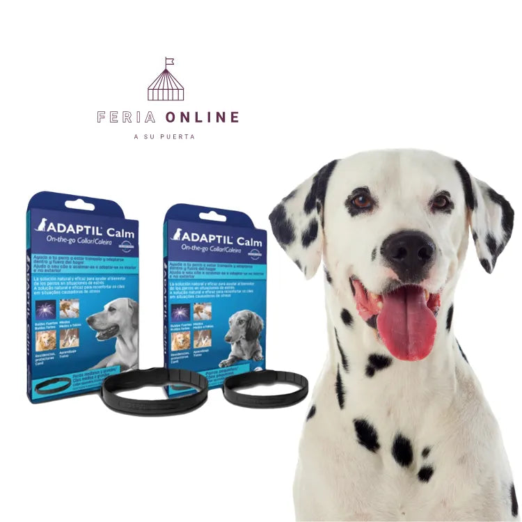 Adaptil Calm Collar