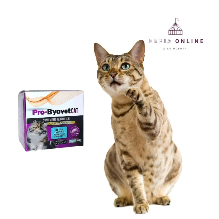 Pro- Byovet Cat