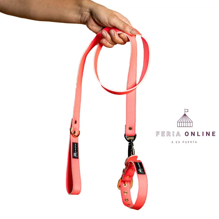 Collar + Correa Premium Puppy Pets