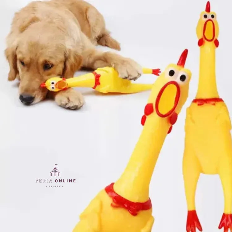 Pollo Chillón
