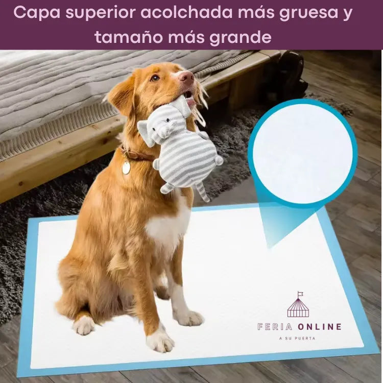 Tapete Educador, 45*33CM talla s, 100pcs/bolsa