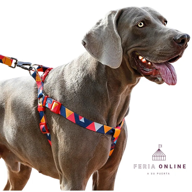 Arnés Estampado Multicolor Perro