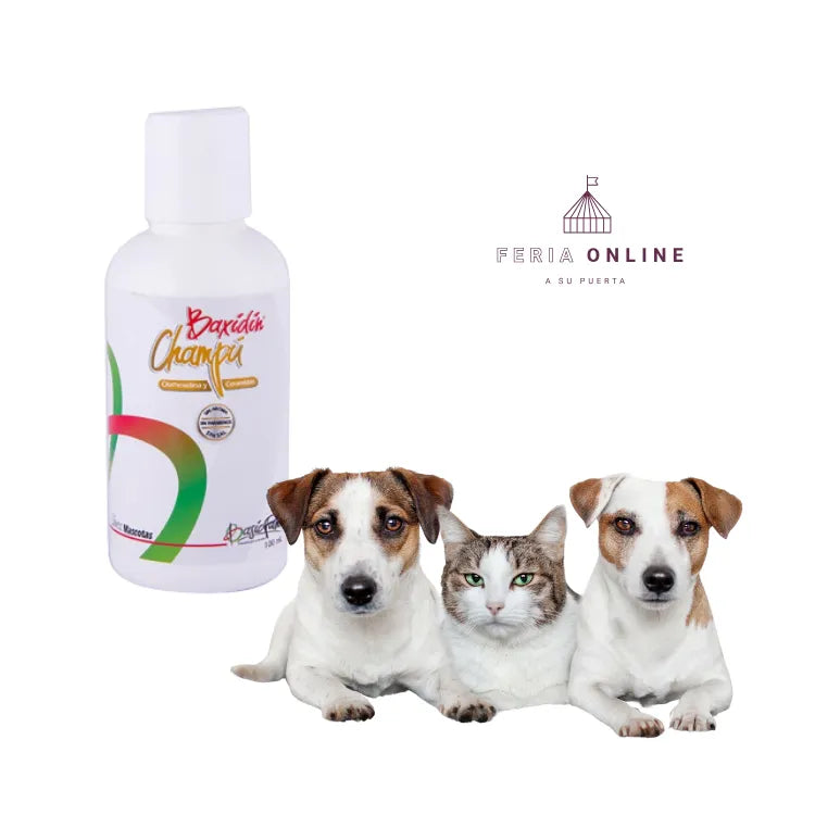 Baxidin ShampooMedicado 100 ML
